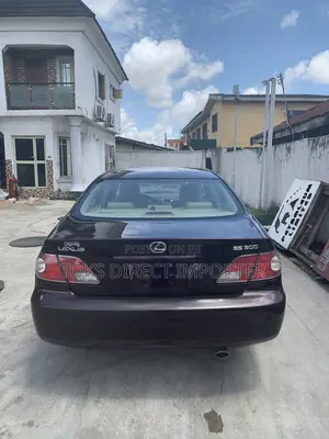 Lexus ES 300 2003 Brown
