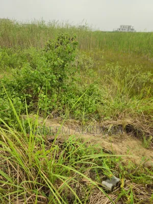 Residential Land at Shoreline Estate Ikoyi Lagos