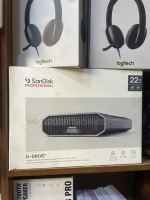 Sandisk 22tb Professional Gdrive