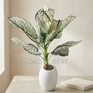 Realistic Aglaonema/Caladium Artificial Flower Vase Plant in White Pot