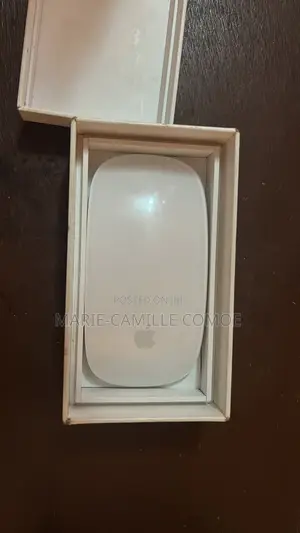Magic Mouse 2 (Apple)