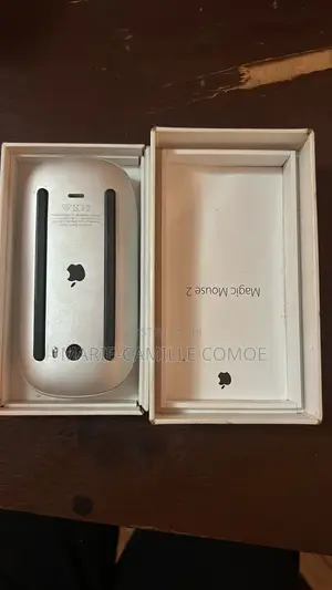 Magic Mouse 2 (Apple)