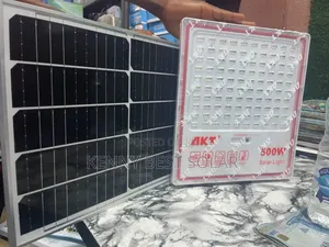 AKT 500W Solar Light