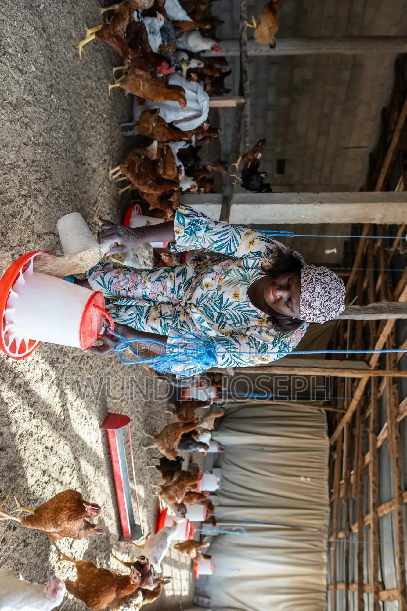 Poultry Farm Workers Needed