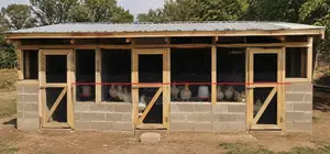 Poultry Farm Workers Needed