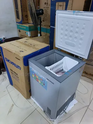 Skyrun BD-90A 90L Food Storage Freezer