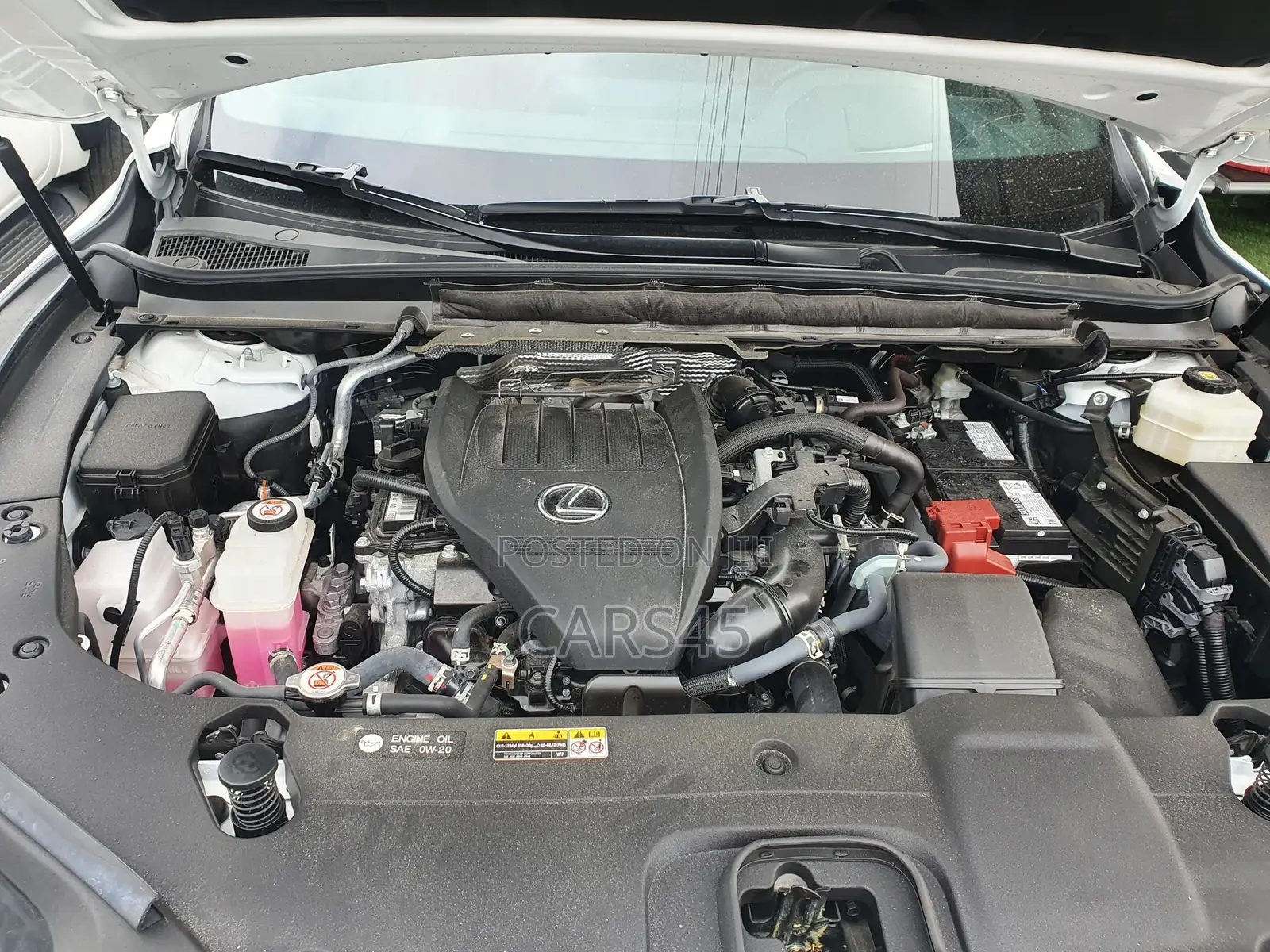 Lexus RX 2024 White
