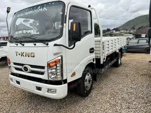 Dail Autos Truck