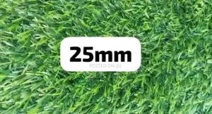 Carpet Grass