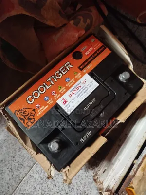 Cool Tiger Battery