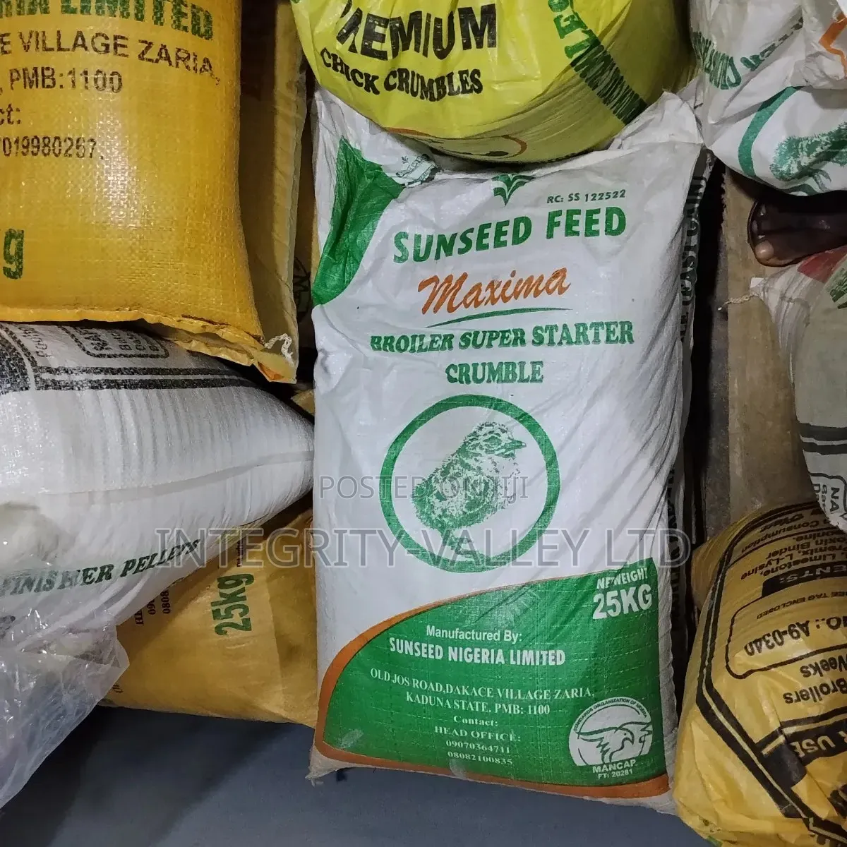 Sunseed Maxima Starter (Professional)