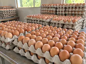 Fresh Farm Eggs