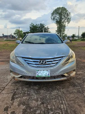 Hyundai Sonata 2010 Blue