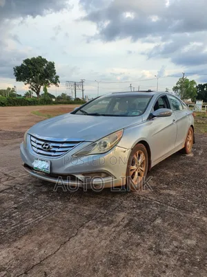 Hyundai Sonata 2010 Blue