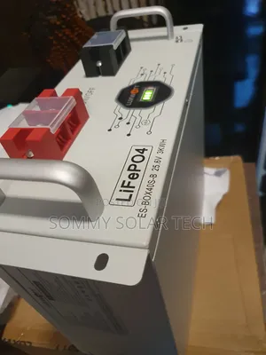 Luxwatt Lithium Ion Battery 3kwh 24v