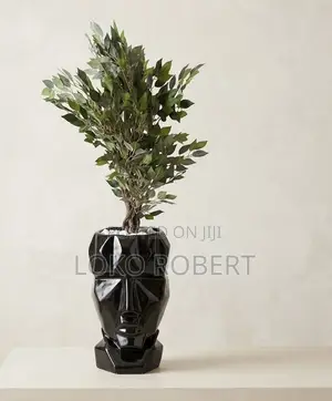 Flower Vase and Flower