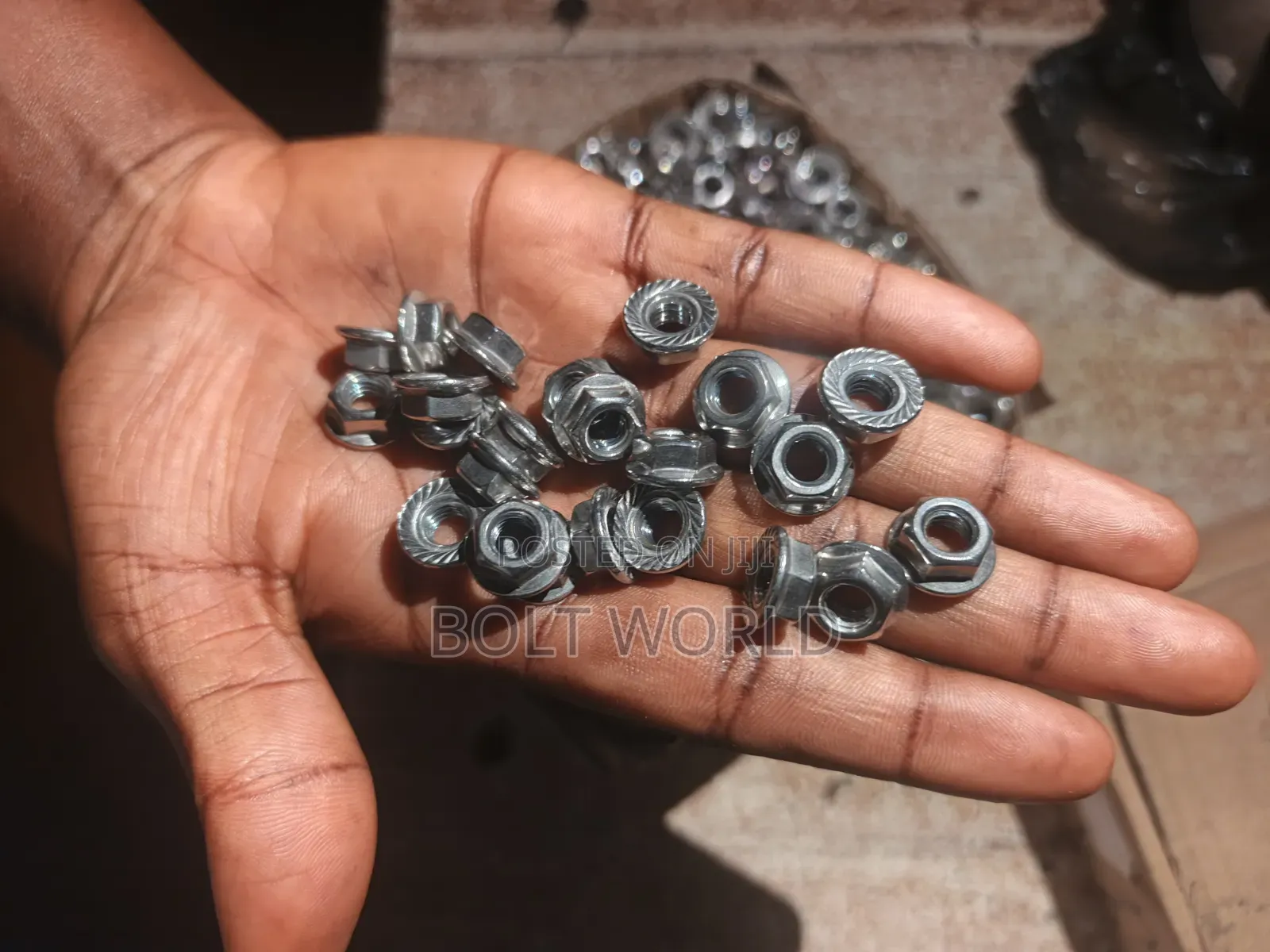 Flange Nut 6mm Stainless