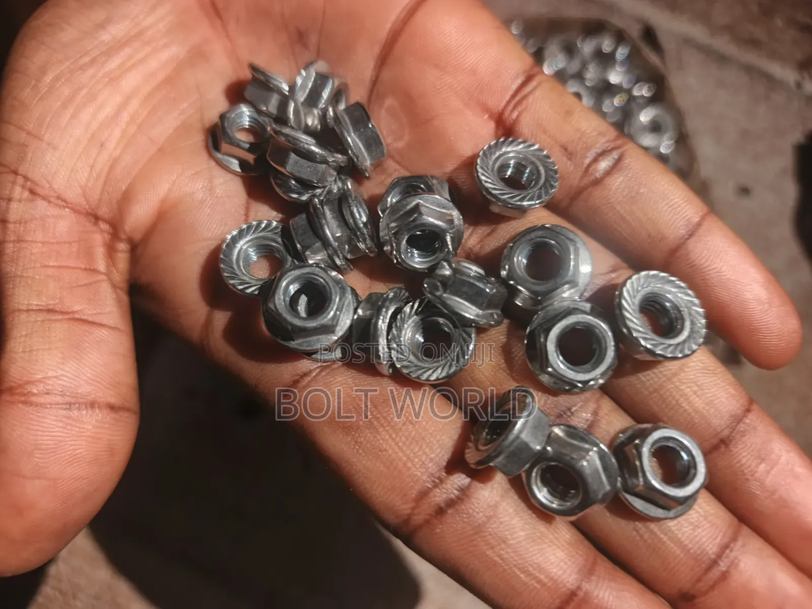 Flange Nut 6mm Stainless