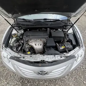 Toyota Camry LE 4dr Sedan (2.4L 4cyl 5A) 2009 Silver