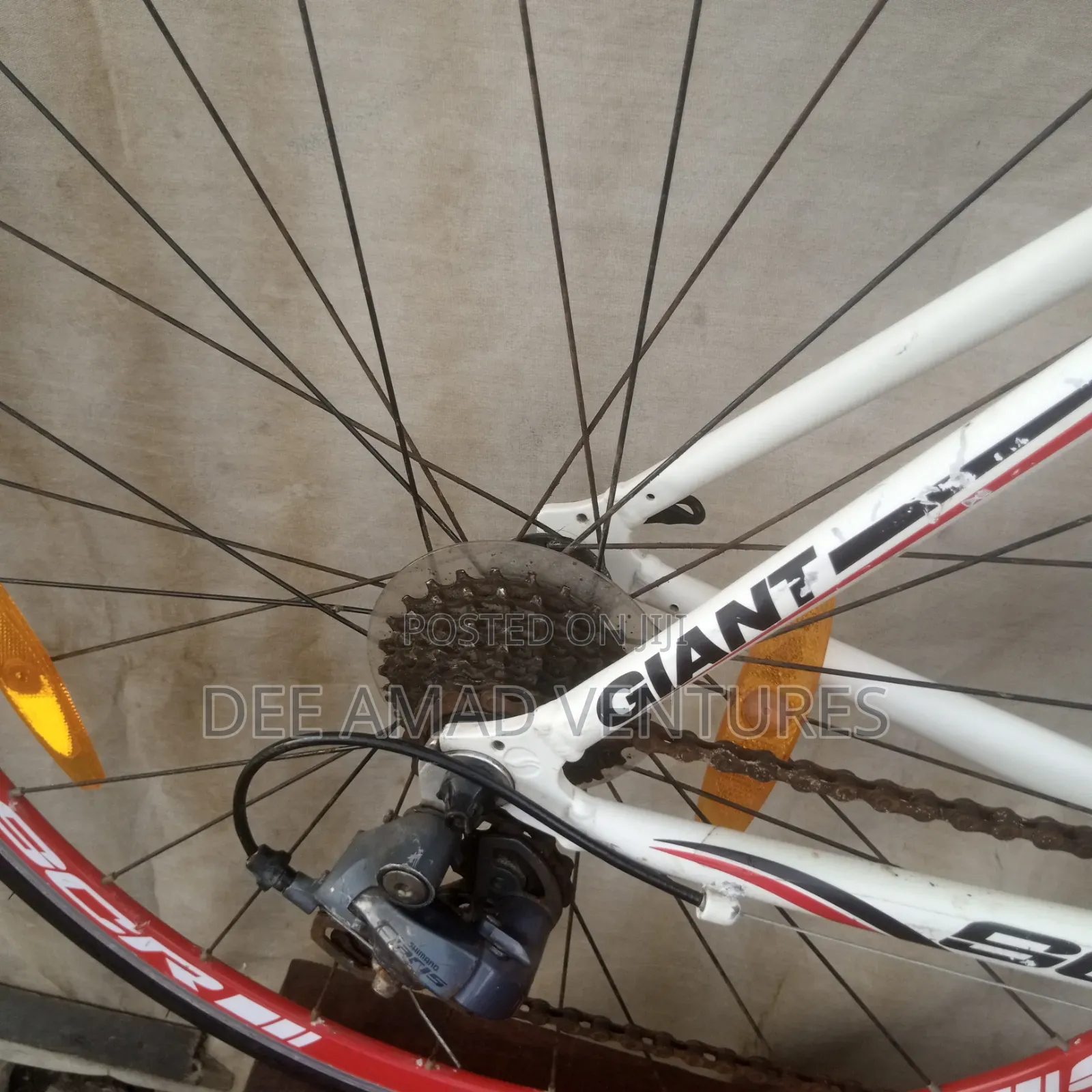 Giant Hand Selector Bike