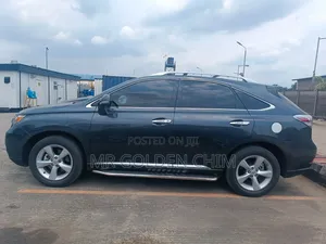 Lexus RX 350 2010 Gray