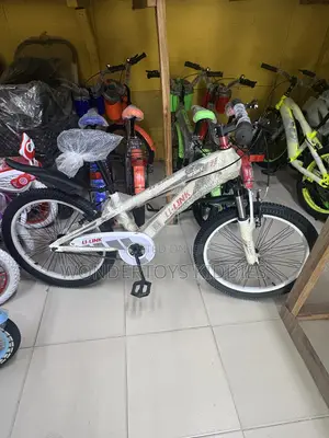 22-Inch Kids Bicycle