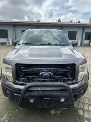 Ford F-150 2013 Blue