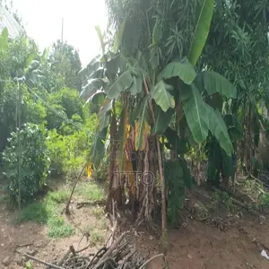 Fenced 1 Plots Land in Agbala Phase 2, Iperu (Distress Sale)