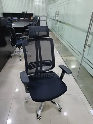 Imported Ergonomic Office Chair With Mech Back Headrest