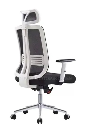 Imported Ergonomic Office Chair With Mech Back Headrest