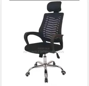 Imported Ergonomic Office Chair With Mech Back Headrest