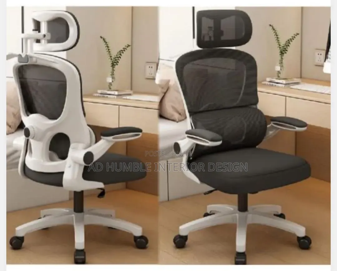 Imported Ergonomic Office Chair With Mech Back Headrest