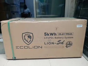 5kwh 24v Ecolion Lithium Battery