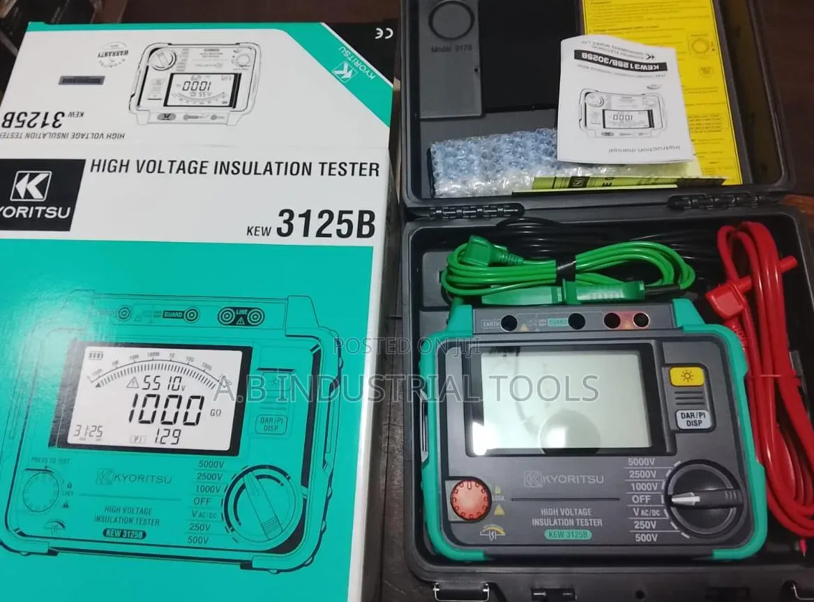 Kyoritsu KEW 3125B High Voltage Insulation Tester