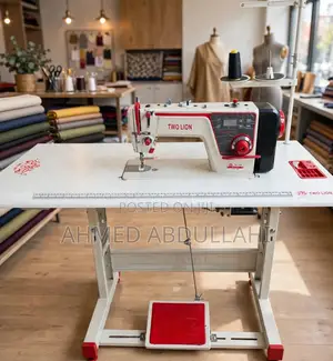 Two Lion Direct Drive Industrial Straight Sewing Machine