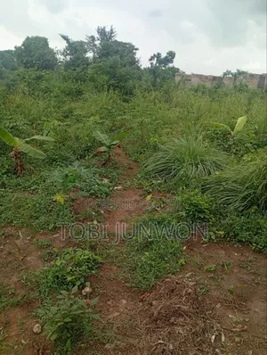 A Plot of Land for Sale at Ogun State Ifo , Cheap and Affordable.