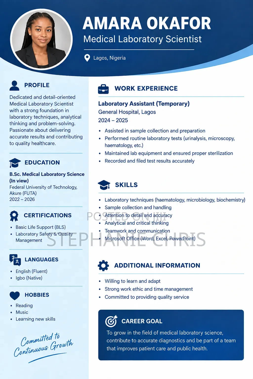 Professional CV Writing Design