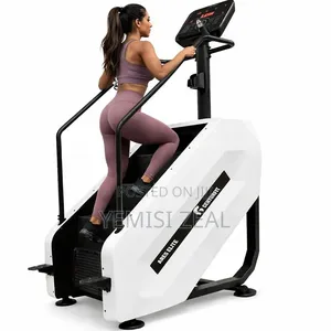 Active American Fitness Stair Climber Mills Machine With Free Delivery
