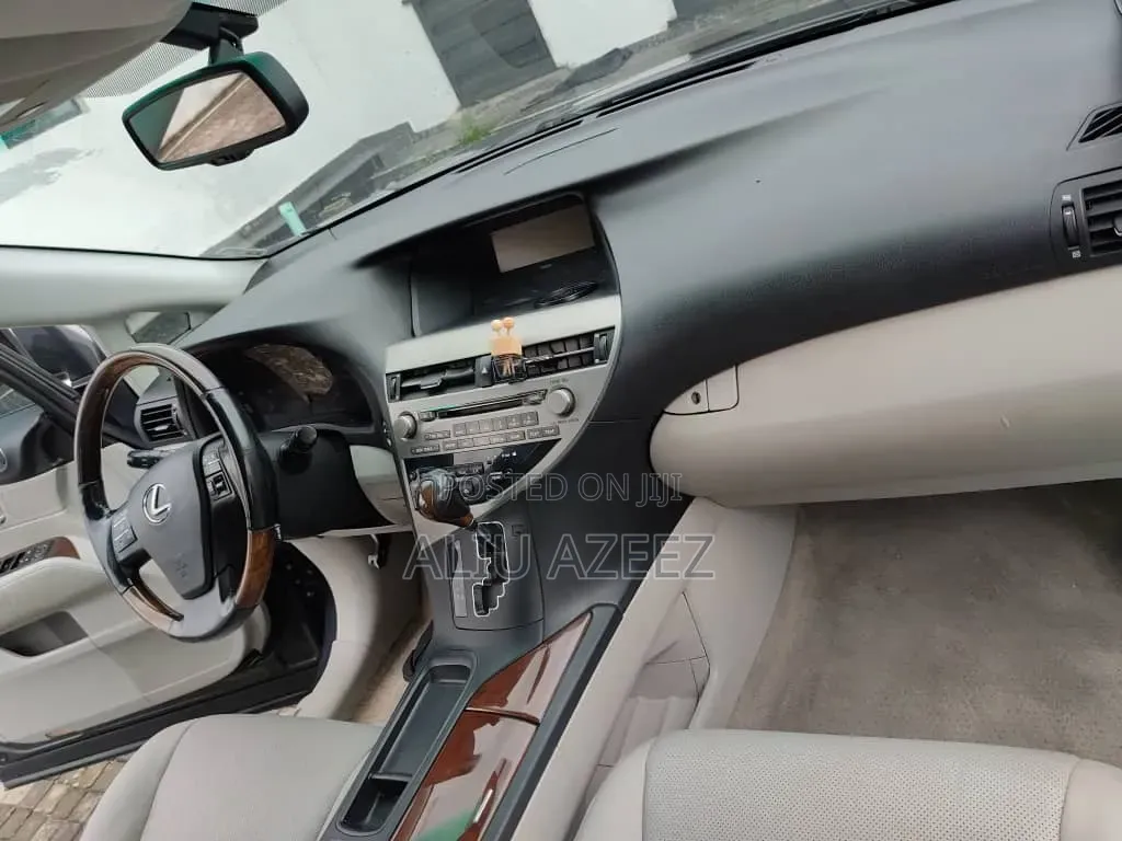 Lexus RX 2010 Gray
