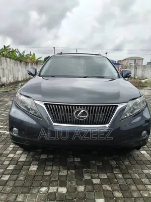 Lexus RX 2010 Gray