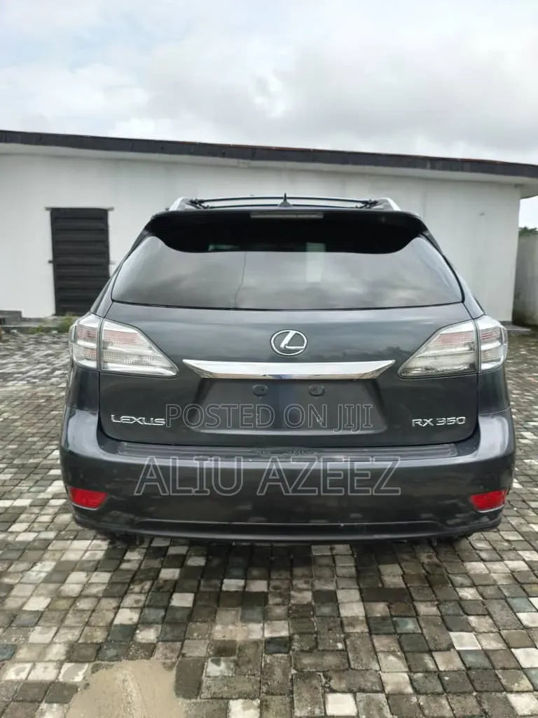 Lexus RX 2010 Gray