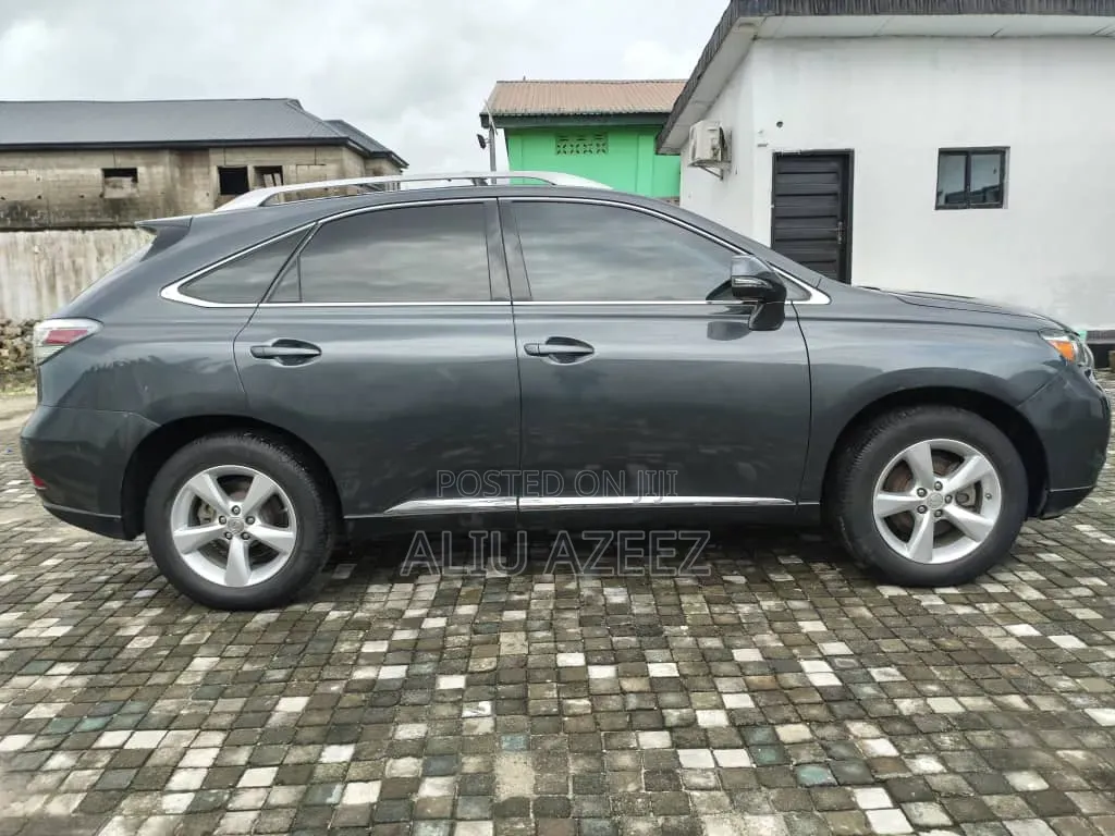 Lexus RX 2010 Gray