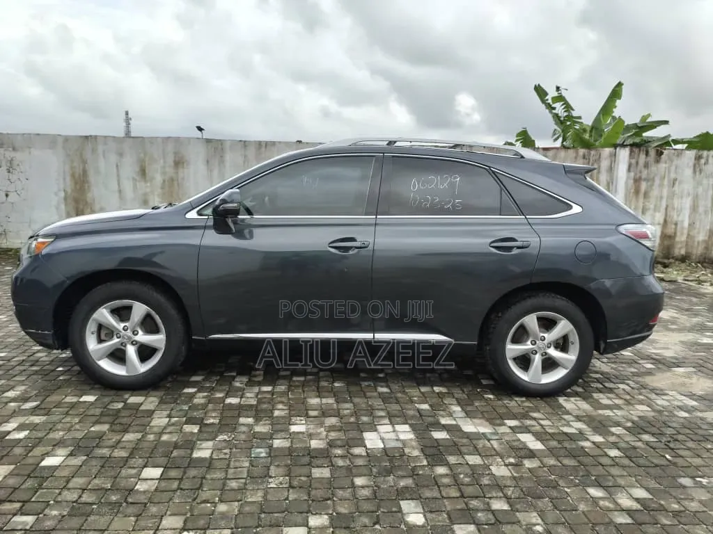Lexus RX 2010 Gray