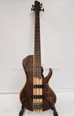 Bass Guitar