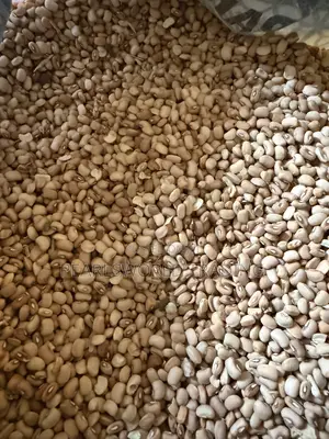 Premium Nigerian Honey Beans (Ewa Oloyin) – Clean Stone-Free