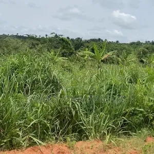 Land for Farming