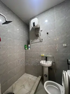 Furnished 1bdrm Apartment in Mabushi for rent