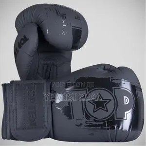 Top Ten Boxing Gloves
