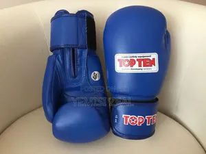 Top Ten Boxing Gloves (Blue)