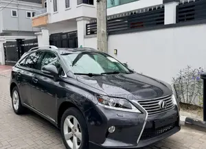 Lexus RX 2010 Gray